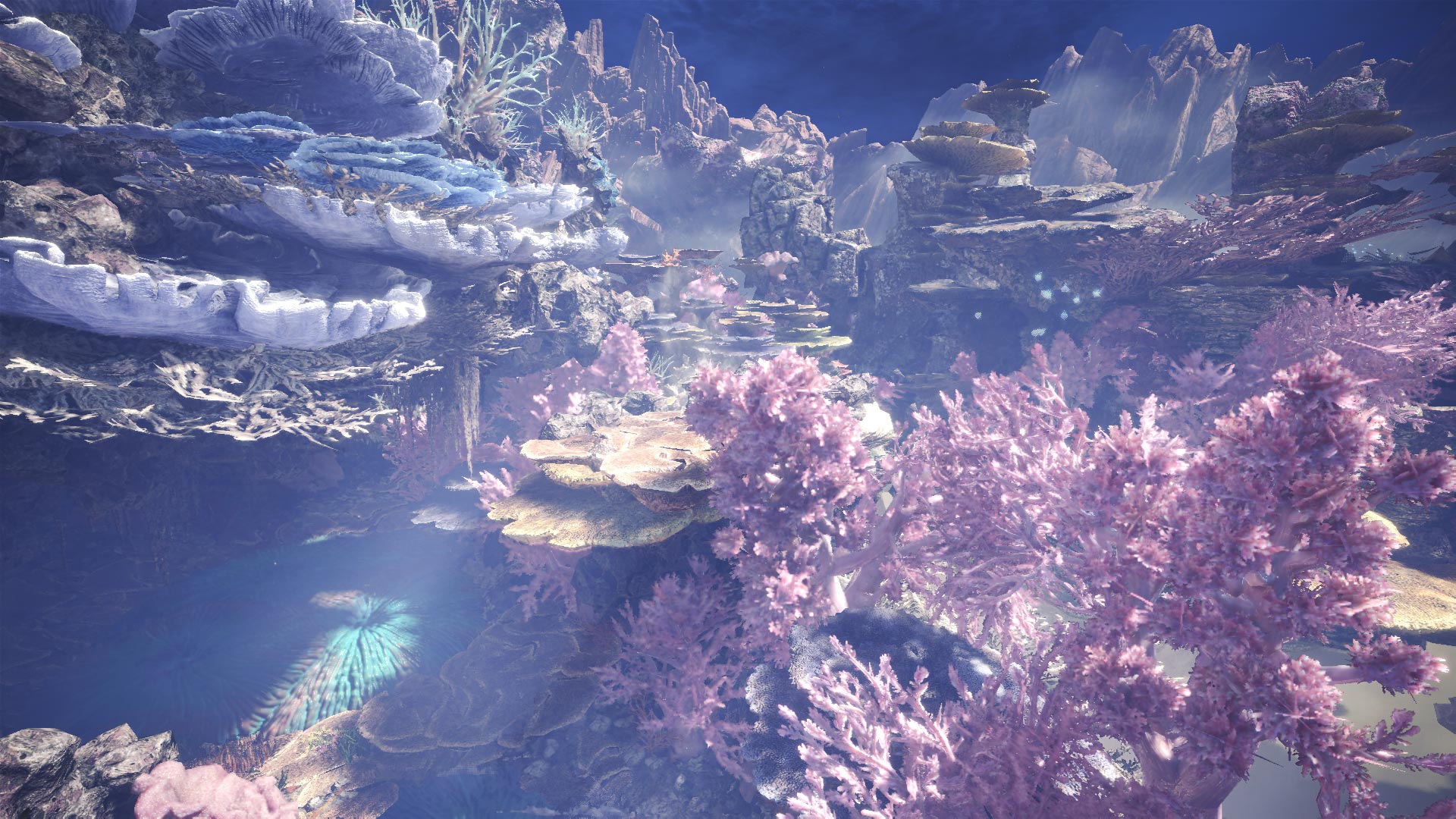 Coral Highlands